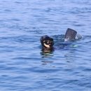 제주포인트투어 이미지