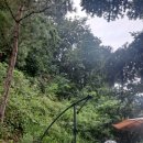 카페이에프(CAFE 2F) 이미지