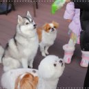 담뿍사회적협동조합