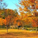 서서울호수동물병원 이미지