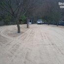 경남 거창 월성오토캠핑장 후기