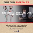 호림태권도 이미지