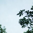 백제골1 이미지