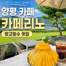 리노 | 양수리 카페 추천 북한강뷰 두물머리 근처 카페리노 망고빙수 후기