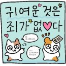 라라동물의료원 이미지