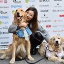 루나동물병원 이미지