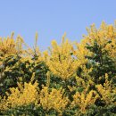 뚝섬한강공원-28 이미지