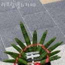 러브림꽃&카페 이미지