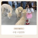 봉구의간식권선점 - 2783 | 도심속 실내동몰원 수달앤쥬에서 동물먹이주기체험을!