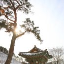 염선재 이미지