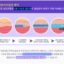 올댓라인