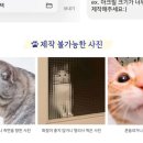 아 고양이 그립톡 제작할라고 상세페이지보는데 왤케웃겨 이미지