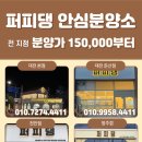 퍼피댕 강아지분양 안심분양소 청주점 말티푸미니비숑토이푸들 이미지