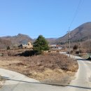 백족산 흑염소 Daum카페