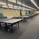 탁구 | 부부 취미생활 탁구 시작 위드탁구클럽 다닌 후기