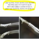플러스동물메디컬센터 이미지