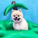 산두로 이미지
