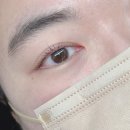 뚜레쥬르 양산호반점 | 광주 속눈썹펌, 리유벨라