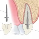 난향동-11 이미지