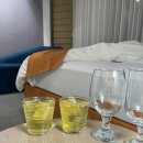 이마트24 진양호점 | 경남 진주 호텔 골든튤립호텔 남강 스탠다드 트윈 숙소 추천 / 톤오우 진주성 수목원 진주 여행