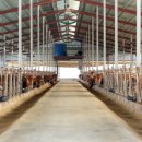 소모아농장 이미지