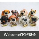 DD033 이미지