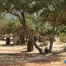 하나게임장 이미지