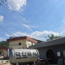경북 청도 덕산방직 1박2일 촬영 레트로 카페 내돈내산
