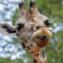 생활일본어 이미지