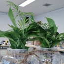 평화1동 주민센터 이미지