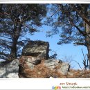 서면 당림2리 이미지