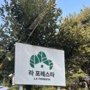 라포레스타 이미지