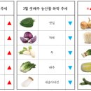 서면유통 이미지