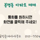 도안시티공인중개사사무소 네이버블로그