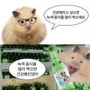 이ㄷ따 이미지