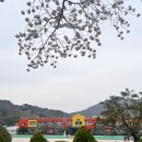상사초등학교 이미지