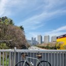 거제제일자동차정비 주식회 | 메리다 스컬트라 400 초기 점검, 거제 엑스인라인 방문 후기