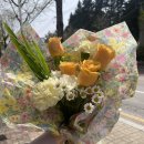 세븐일레븐 가정호반점 | 후평동꽃집 춘천화분배달 춘천당일꽃배달 춘천어버이날꽃다발 춘천어버이날꽃배달 인생네꽃