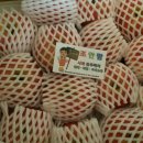 조안농장 이미지