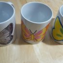 파주 나비나라박물관 이미지