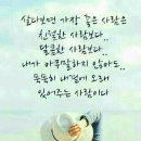 행복법무사 이미지