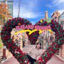 🌹[여주]루덴시아테마파크 후기/내돈내산/여주 놀거리❤️