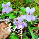 스마트폰으로 포토 영상 만들기 이미지