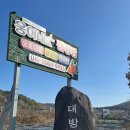 [캠핑일기2]순창 웅이네 캠핑장(c 2,3번 사이트 후기, 명당)