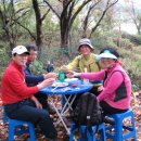 오아시스 이미지