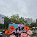 가수님 비맞는다고 이미지