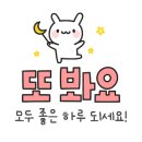 레인보우동물병원 이미지