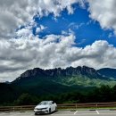 소노펠리체 델피노 이미지