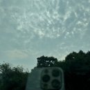 보령종합터미널 | 보령종합버스터미널 시간표 서울 대천 후기