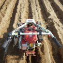 김상수 농장 이미지